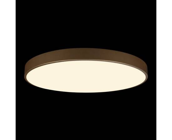 Потолочный светодиодный светильник Loft IT Flims 10228/B, изображение 4