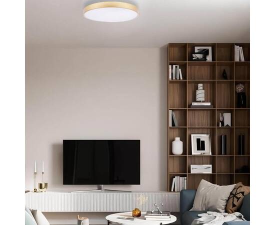Потолочный светодиодный светильник Loft IT Flims 10228/B, изображение 5