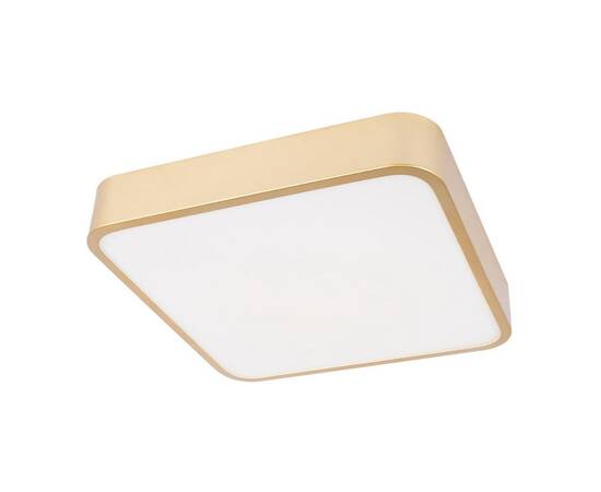 Потолочный светодиодный светильник Loft IT Flims 10228/C