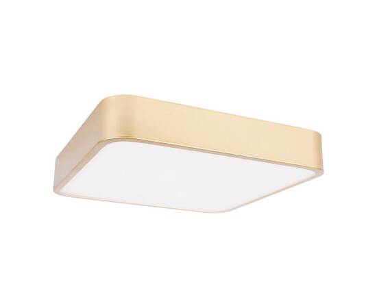 Потолочный светодиодный светильник Loft IT Flims 10228/C, изображение 2