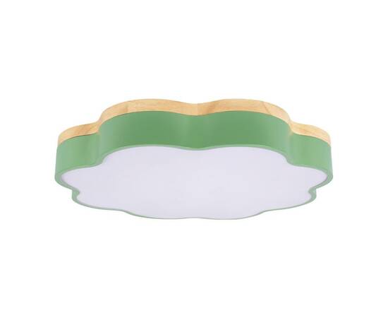 Потолочный светодиодный светильник Loft IT Axel 10225/36 Green, изображение 3