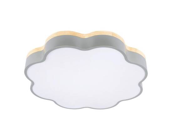 Потолочный светодиодный светильник Loft IT Axel 10225/36 Grey