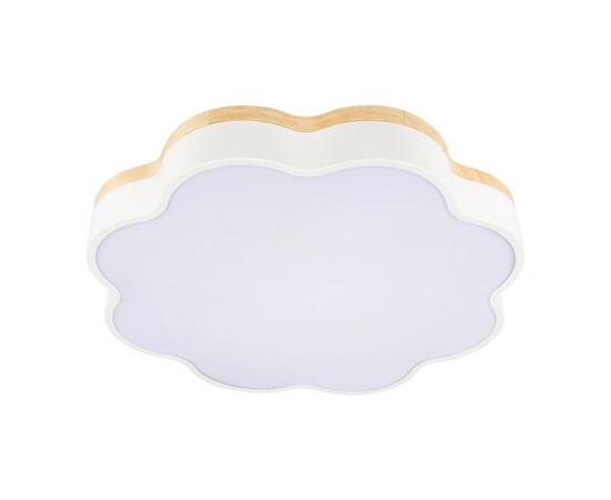Потолочный светодиодный светильник Loft IT Axel 10225/36 White
