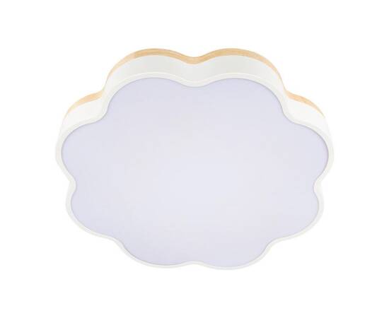 Потолочный светодиодный светильник Loft IT Axel 10225/36 White, изображение 3