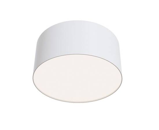 Потолочный светильник Maytoni Technical Ceiling & Wall C032CL-12W4K-RD-W