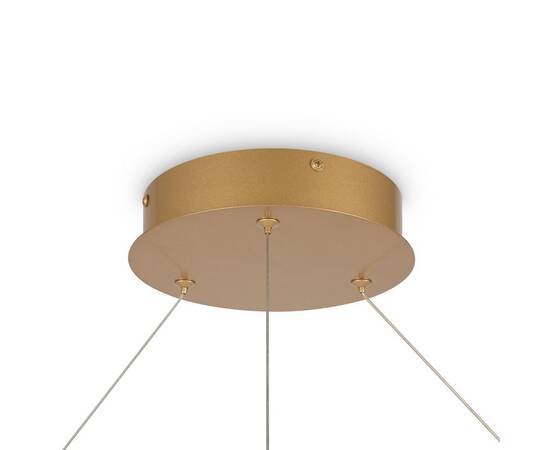 Подвесной светодиодный светильник Maytoni Rim MOD058PL-L65BSK, изображение 5