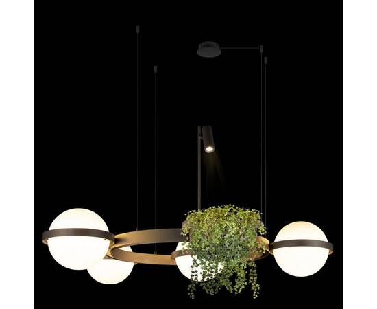 Подвесной светодиодный светильник Loft IT Jardin 10121/4 Dark grey, изображение 2