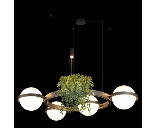 Подвесной светодиодный светильник Loft IT Jardin 10121/4 Dark grey, изображение 4