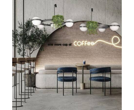 Подвесной светодиодный светильник Loft IT Jardin 10121/4 Dark grey, изображение 5