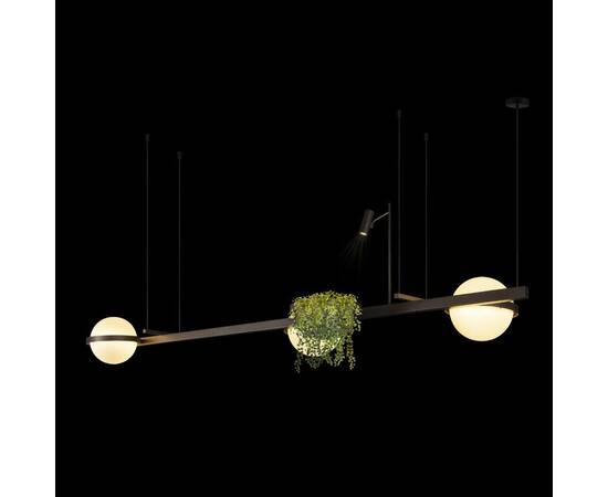 Подвесной светодиодный светильник Loft IT Jardin 10121/C Dark grey, изображение 4