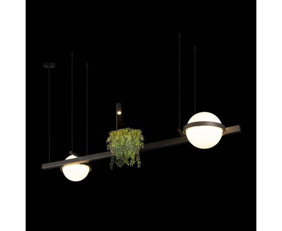 Подвесной светодиодный светильник Loft IT Jardin 10121/D Dark grey, изображение 4