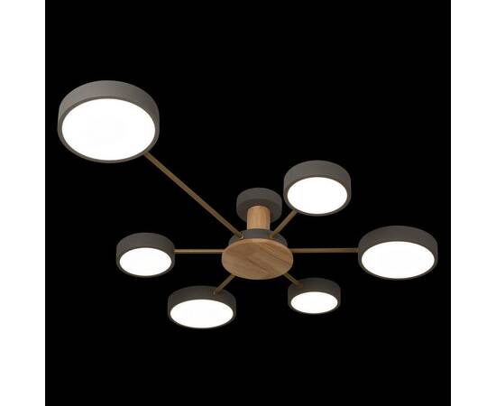 Потолочная светодиодная люстра Loft IT Sunrise 10316/6 Grey, изображение 2