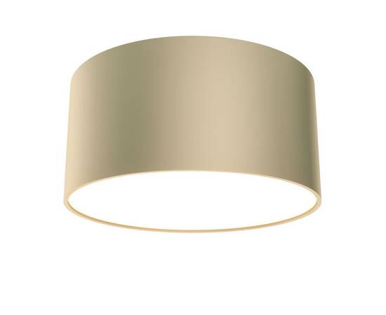 Потолочный светодиодный светильник Maytoni Technical Zon C032CL-12W4K-RD-MG