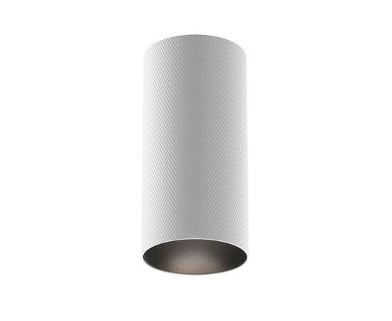 Потолочный светильник Maytoni Technical Artisan C080CL-01-GU10-W