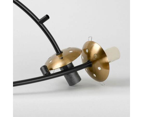 Подвесная люстра Lussole LSP-8892, изображение 3