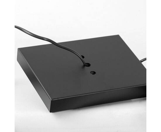 Торшер Lussole Prairie LSP-0913, изображение 3