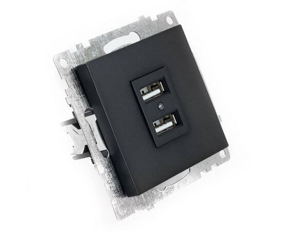 Розетка 2хUSB Stekker Катрин графит GLS10-7115-06 49422