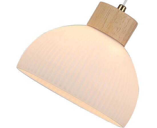 Подвесной светильник Arte Lamp Caprice A4184SP-1BR, изображение 3