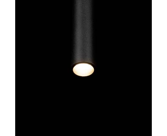 Подвесной светильник Loft IT Metropolis 10334/500 Black, изображение 4