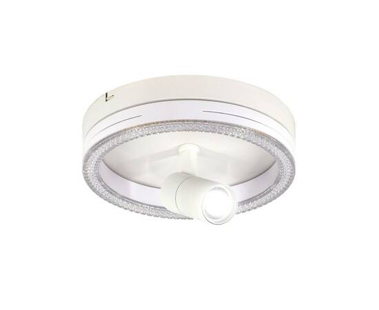 Потолочный светодиодный светильник Escada 20044SMA/02LED WH