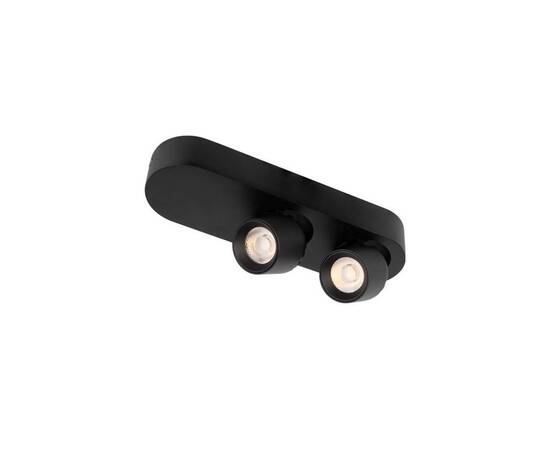 Спот Loft IT Quiet 10320/2 Black