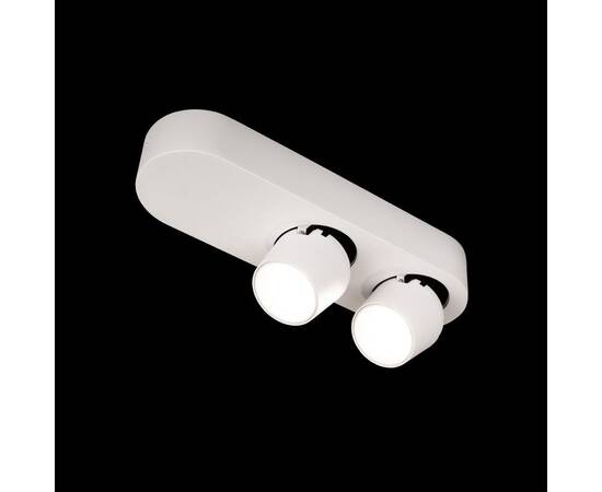 Спот Loft IT Quiet 10320/2 White, изображение 4