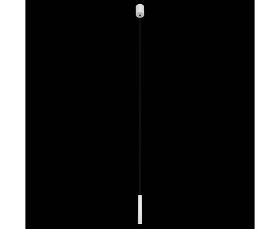 Подвесной светильник Loft IT Metropolis 10334/300 White, изображение 4