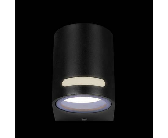 Уличный настенный светильник Loft IT Stema 100012/A, изображение 7