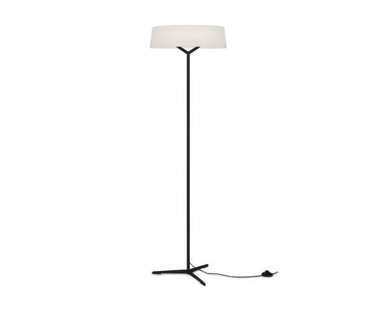 Торшер Freya Vabi FR6132FL-L15B