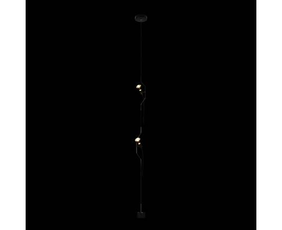 Подвесной светильник Loft IT Parentesi 10346/2 Black, изображение 8