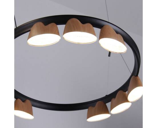 Подвесная светодиодная люстра Favourite Interline 4266-21P, изображение 3