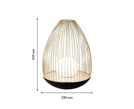 Настольная лампа Favourite Core 4241-1T, изображение 2