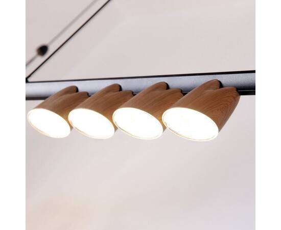 Подвесная светодиодная люстра Favourite Interline 4266-10P, изображение 3