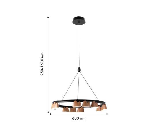 Подвесная светодиодная люстра Favourite Interline 4266-12P, изображение 2