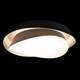 Потолочный светильник Loft IT Petale 10256 Black, изображение 6