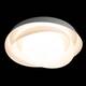 Потолочный светильник Loft IT Petale 10256 White, изображение 6