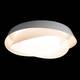 Потолочный светильник Loft IT Petale 10256 White, изображение 7