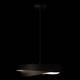 Подвесная люстра Loft IT Petale 10256P Black, изображение 5