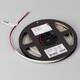 Светодиодная лента Arlight 10W/m 80Led/m 2835SMD дневной белый 5M RT-A280-8mm 24V Day4000 045564, изображение 2