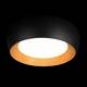 Потолочный светильник Loft IT Folk 10255/500 Black, изображение 6