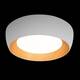 Потолочный светильник Loft IT Folk 10255/500 White, изображение 6