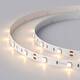 Светодиодная лента Arlight 7,2W/m 30Led/m 5060SMD теплый белый 5M RT-B30-10mm 12V Warm2700 010594(2)