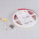 Светодиодная влагозащищенная лента Arlight 5W/m 304Led/m 2835SMD холодный белый 5M RTW-SEW-A304-10mm 24V White6000 045215, изображение 2