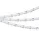 Светодиодная лента Arlight 7,2W/m 840Led/m CSP разноцветный/холодный белый 5M CSP-X840-12mm 24V RGBW-White 046935, изображение 3
