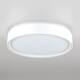 Потолочный светодиодный светильник Citilux Boss CL751250G, изображение 12