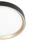 Потолочный светодиодный светильник Citilux Boss CL751351G, изображение 7