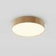 Потолочный светодиодный светильник Maytoni Zon C032CL-36W3K-RD-MG, изображение 5