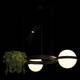 Подвесной светодиодный светильник Loft IT Jardin 10121/2, изображение 5