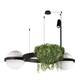 Подвесной светодиодный светильник Loft IT Jardin 10121/2, изображение 7