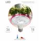 Фитолампа для растений светодиодная ЭРА E27 18W 2370K FITO-18W-RB-E27 Б0049533, изображение 2